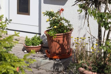 Güney Almanya kırsal ev bahçe dekorasyon.