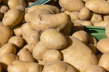 Temmuz ayında Güney Almanya gördüğünüz stand sebze soğan, salata, havuç ve daha fazla tür bir şehir sokak piyasada çok güneşli bir günde