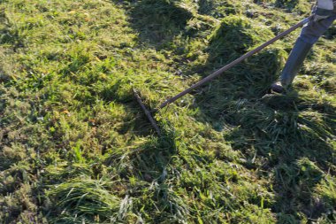 çim sonbahar Kasım güneşli bir günde Münih ve stuttgart yakınındaki Güney Alman kırsalında yan yatan yaşlı çiftçi