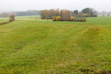 ağaçlar ve yaprakları bir bikeway Münih ve stuttgart şehirlere yakın yanında yeşil çim ve inidan yaz renkleri ile Güney Alman kırsalında sisli sonbahar manzara