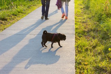 bira bahçesi ve park Güney Almanya tatil gezisinde adlandırılmış adelheid Almanca Pug mops