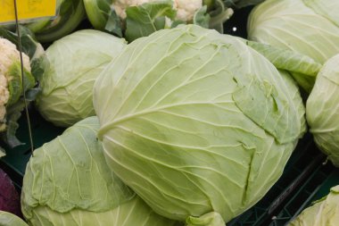 Temmuz ayında Güney Almanya gördüğünüz stand sebze soğan, salata, havuç ve daha fazla tür bir şehir sokak piyasada çok güneşli bir günde