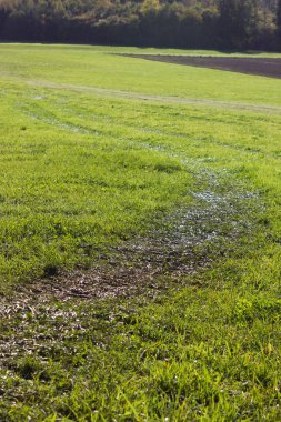 Güney Almanya'nın kırsal kırsalında traktör tarafından sıvı gübre getiriyor sonra yeşil çim