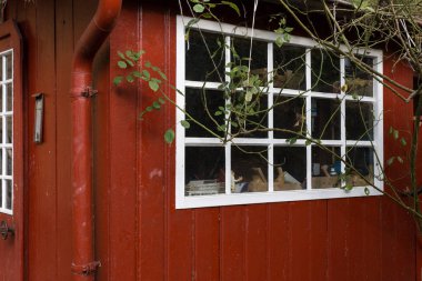 Güney Almanya tarihi şehir şehir Münih ve stuttgart sonbahar ay Kasım arasında çerçeve binalarda duvar ve cephe mimarisi