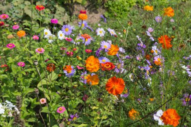 geniş açı bakmak Güney Almanya kırsal renkli çiçekler, güneşli bir günde stuttgart şehir ve Münih yakınında Ağustos