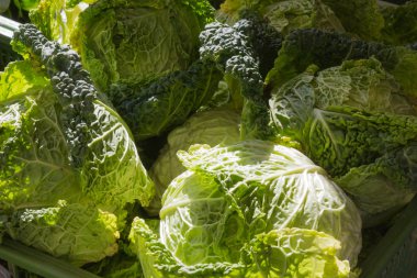 Temmuz ayında Güney Almanya gördüğünüz stand sebze soğan, salata, havuç ve daha fazla tür bir şehir sokak piyasada çok güneşli bir günde