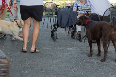 Güney Almanya'nın romantik şehir yaz park civarındaki bir kafede oturuyor