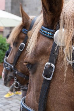 Bavyera bir tarihi şehir Güney Almanya'da yaz, eski at ve araba bile saygı eski objets tatiller için çok romantik bir yer vardır