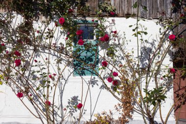 Açık mavi gökyüzü ve sıcak bir gün ile Güney Alman kırsal pastırma yazı Ekim ay üzerinde gül bahçesi ile çatı çiftlik evi