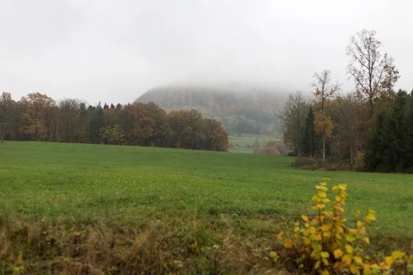 Neblige Herbstlandschaft Süddeutschen Raum Mit Grünem Rasen Und Inidansommerlichen Farben — Stockfoto