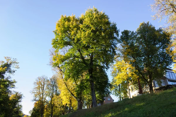 素晴らしい青空と暖かい日差しとシュトゥットガルト付近南ドイツの歴史的な街で 月の晴れた日に秋の黄色の色が付いている木 — ストック写真