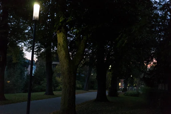 城市公园在晚上与灯和大道与树在德国南部在10月月在秋天季节 — 图库照片