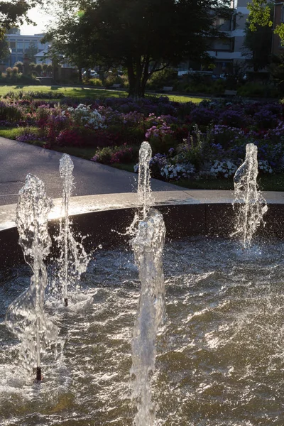 Fonte Primavera Luz Sol Manhã — Fotografia de Stock