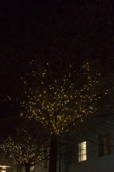 Weihnachtsbaum Auf Einem Marktplatz Der Süddeutschen Stadt Bei München Und — Stockfoto