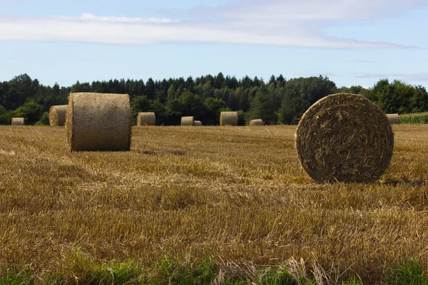 Straw Bale Stubblefield South German Landscape Summer Month August Stuttgart — Stock Photo, Image