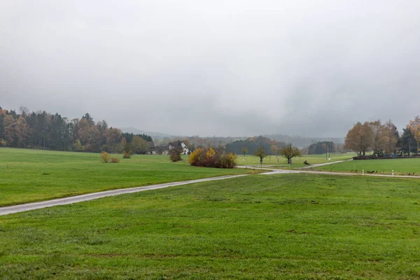 Ağaçlar Yaprakları Bir Bikeway Münih Stuttgart Şehirlere Yakın Yanında Yeşil — Stok fotoğraf