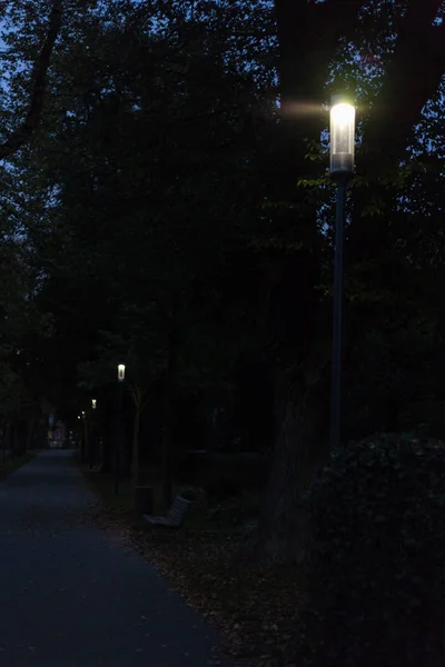 Stadtpark Bei Nacht Mit Lampen Und Boulevard Mit Bäumen Süddeutschland — Stockfoto