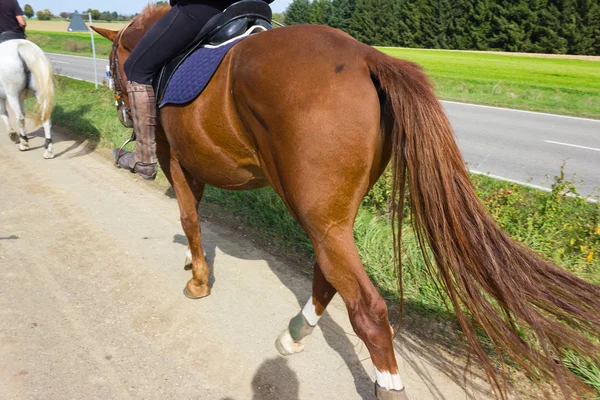 月の晴れた日にシュトゥットガルトとミュンヘンの近くの南ドイツの田舎で馬に乗って 人の女性 — ストック写真