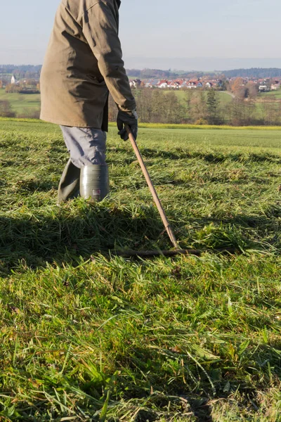 çim sonbahar Kasım güneşli bir günde Münih ve stuttgart yakınındaki Güney Alman kırsalında yan yatan yaşlı çiftçi