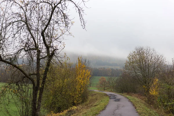 Neblige Herbstlandschaft Süddeutschen Raum Mit Grünem Rasen Und Inidansommerlichen Farben — Stockfoto