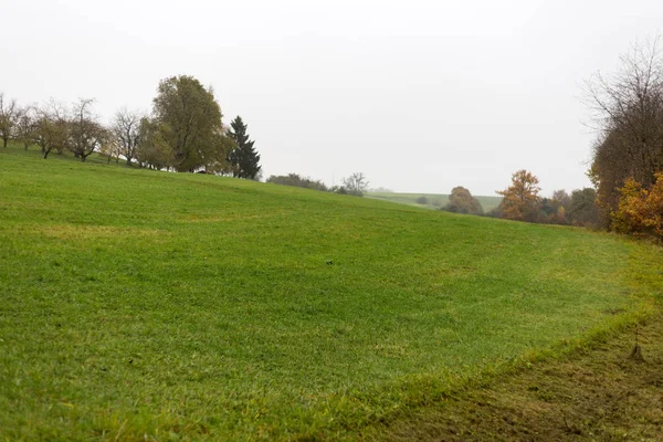 Neblige Herbstlandschaft Süddeutschen Raum Mit Grünem Rasen Und Inidansommerlichen Farben — Stockfoto