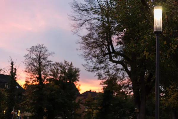 Park Miejski Nocy Lampy Bulwaru Drzew Południowych Niemczech Miesiącu Październiku — Zdjęcie stockowe