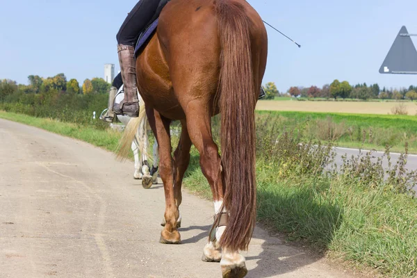 月の晴れた日にシュトゥットガルトとミュンヘンの近くの南ドイツの田舎で馬に乗って 人の女性 — ストック写真