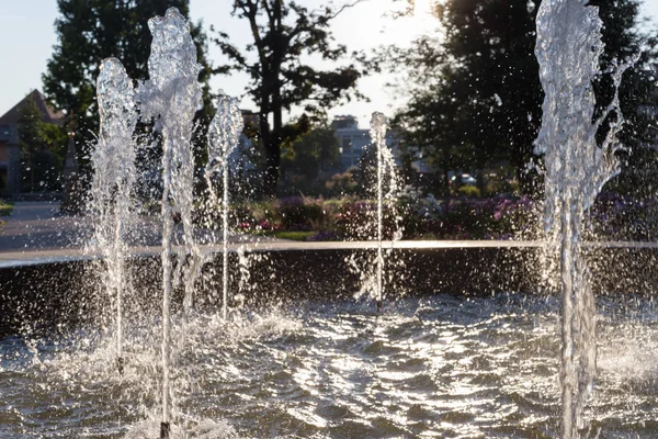 Fontana Primaverile Sole Del Mattino — Foto Stock