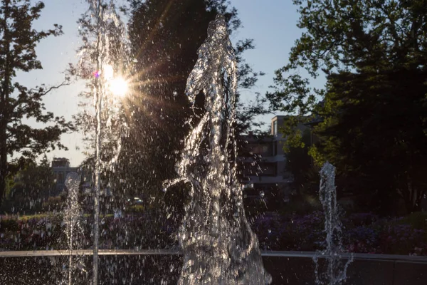 Fuente Primavera Sol Mañana — Foto de Stock