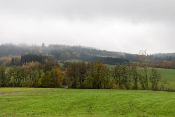 Nebbioso Paesaggio Autunnale Nella Campagna Sud Tedesca Con Prato Verde — Foto Stock