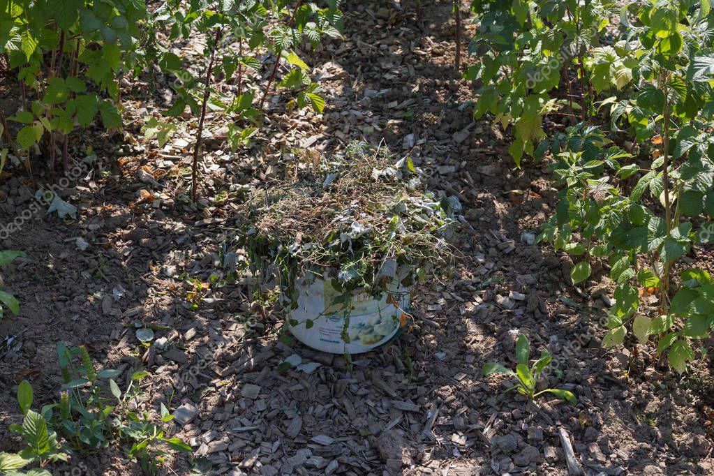 Einem Heissen Sommertag Einem Cottage Garten Verschiedene Hutten Und Kleine Stockfoto C Rudolfgeiger 222001840