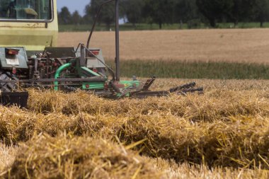 saman üzerinde yaz Güney Almanya kırsal Mısır tarlasında haying traktör