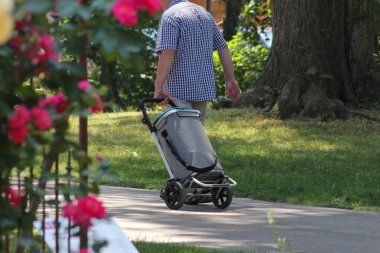 bir gül bahçesi yaz aylarında Güney Almanya'da bir beyefendi bir şehir parkının ağaçları gölgesi altında yürüyor