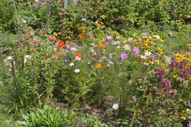 geniş açı bakmak Güney Almanya kırsal renkli çiçekler, güneşli bir günde stuttgart şehir ve Münih yakınında Ağustos