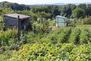bir kulübede bir sıcak yaz gününde çeşitli kulübe Bahçe ve Güney Almanya stuttgart yakınlarındaki bir alanda depolama ve Bahçe aletleri için küçük göğüsler vardır