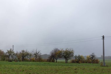 sisli sonbahar ağaçlar ve Münih ve stuttgart şehirlere yakın yeşil çim ve inidan yaz renkleri ile Güney Alman kırsal yapraklarda