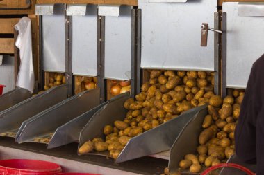 sebze meyve kırmızı sarı ve turuncu renk ve ahşap kutular Güney Almanya'da semt pazarı ve onlara gıda satın alma