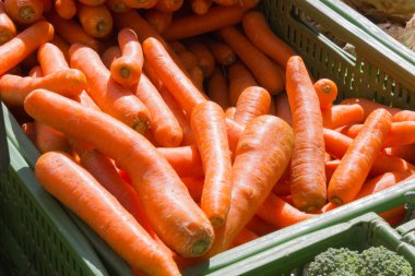 Temmuz ayında Güney Almanya gördüğünüz stand sebze soğan, salata, havuç ve daha fazla tür bir şehir sokak piyasada çok güneşli bir günde