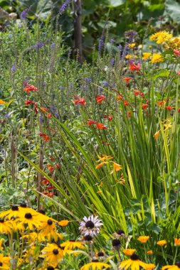 Sen görmek detayları ve yazlık ülke çiftlik evinin Bahçe ambiyans çiçeklenir renkleri harika turuncu kırmızı ve pembe ve mavi renkler ile Haziran ayında Güney Almanya çok güneşli bir günde