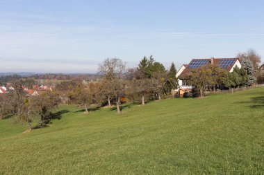 deadfallen ağaçlar ve Güney Almanya Münih şehri yakınlarında ve stuttgart mavi gökyüzü ile sonbahar kırsal manzara