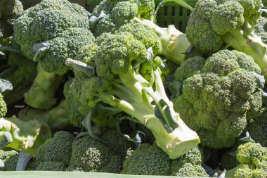 Temmuz ayında Güney Almanya gördüğünüz stand sebze soğan, salata, havuç ve daha fazla tür bir şehir sokak piyasada çok güneşli bir günde