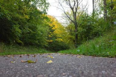 yapraklar ve ağaçlar üzerinde bir bikeway stuttgart şehir ve Münih yakınındaki güney Almanya kırsalında sonbahar Eylül pastırma yazı renkleri