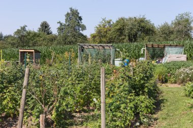 bir kulübede bir sıcak yaz gününde çeşitli kulübe Bahçe ve Güney Almanya stuttgart yakınlarındaki bir alanda depolama ve Bahçe aletleri için küçük göğüsler vardır