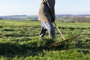çim sonbahar Kasım güneşli bir günde Münih ve stuttgart yakınındaki Güney Alman kırsalında yan yatan yaşlı çiftçi