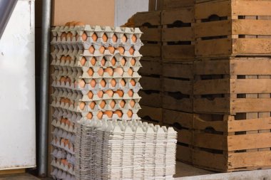 çok güneşli Güney Almanya'da Temmuz ayında stand ile bir şehir sokak piyasada ödeme ve depolama kabin yumurtalarının kapalı da yiyecek toplama kutusuna el eller görmek