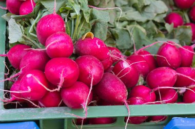 Temmuz ayında Güney Almanya gördüğünüz stand sebze soğan, salata, havuç ve daha fazla tür bir şehir sokak piyasada çok güneşli bir günde