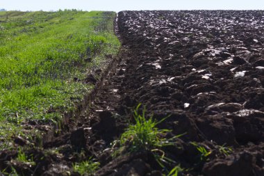 hasat alan ve acre telgraf direkleri city stuttgart yakınındaki güney Almanya kırsalında mavi gökyüzü ile güneşli bir sonbahar gününde yanında