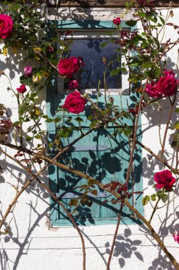 Açık mavi gökyüzü ve sıcak bir gün ile Güney Alman kırsal pastırma yazı Ekim ay üzerinde gül bahçesi ile çatı çiftlik evi