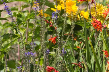 Sen görmek detayları ve yazlık ülke çiftlik evinin Bahçe ambiyans çiçeklenir renkleri harika turuncu kırmızı ve pembe ve mavi renkler ile Haziran ayında Güney Almanya çok güneşli bir günde