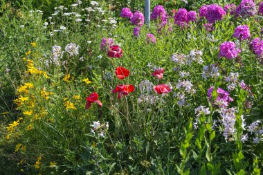 Sen görmek detayları ve yazlık ülke çiçek çiftlik evinin Bahçe ambiyans içinde renklerle harika turuncu kırmızı ve pembe ve mavi renkler çok güneşli Güney Almanya'da Temmuzda